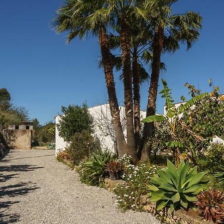 Can Beia Rural House Ibiza Villa Nuestra Senora de Jesus ภายนอก รูปภาพ