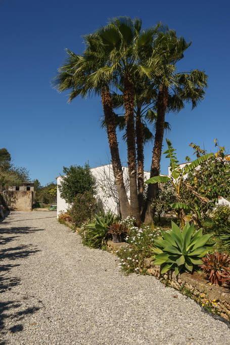 Can Beia Rural House Ibiza Villa Nuestra Senora de Jesus ภายนอก รูปภาพ